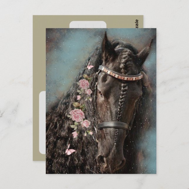 Friesian Horse - Postcard (Front/Back)