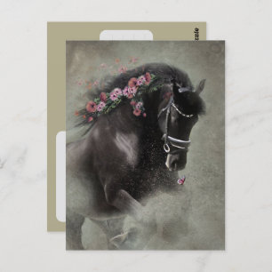Friesian Horse - Postcard