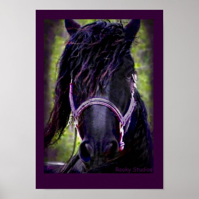 Friesian Horse Poster (Front)