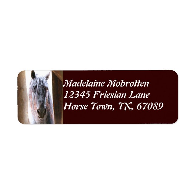 Friesian Horse Return Address Label (Front)