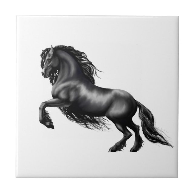 Friesian horse, the black beauty tile (Front)