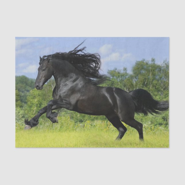 Friesian horse tissue paper (Front)