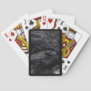 Friesian Image Playing Cards