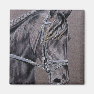Friesian Magnet