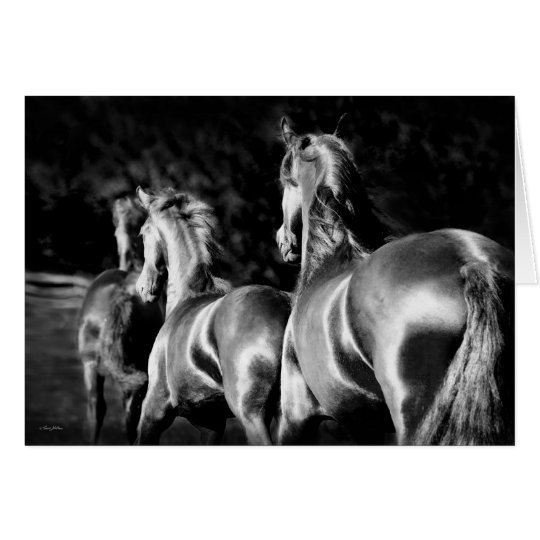 Friesian mares card