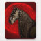 Friesian Portrait