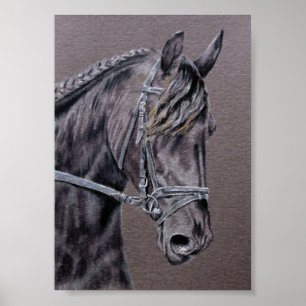 Friesian Poster