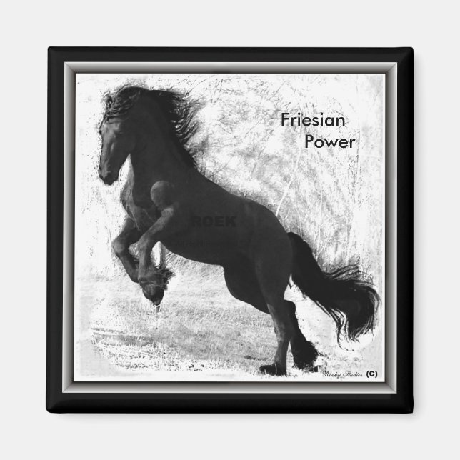 Friesian Power Magnet 2 (Front)