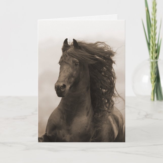Friesian Running Horse Greeting Card (Front)