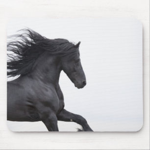 Friesian Runs Mousepad