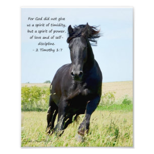 Friesian Stallion 2 Timothy 1:7 Photo Print