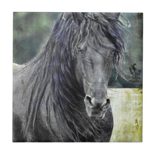 Friesian Stallion Ceramic Tile