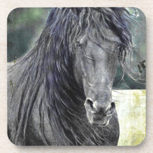 Friesian Stallion Coaster