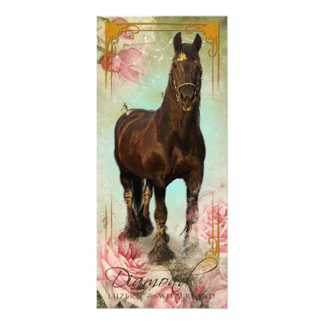 Friesian Stallion II - Rackcard Rack Card (Front)