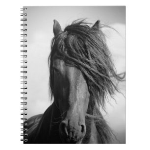 Friesian stallion in the wind. notebook