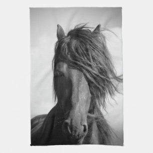 Friesian stallion in the wind. tea towel