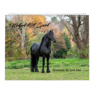 Friesian Stallion Wolfert 467 Sport Calendar