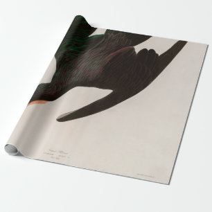 Frigate Pelican Birds of America Audubon Print Wrapping Paper