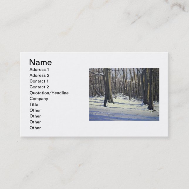 Frigid Snow Scene at Missouri County Park Business Card (Front)
