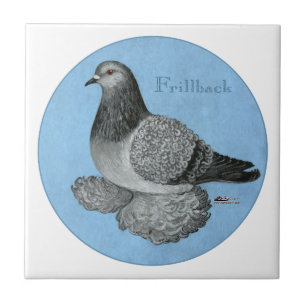 Frillback Blue Grizzle Pigeon Ceramic Tile