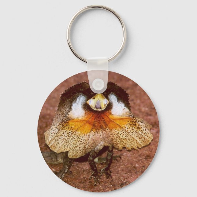 Frilled Lizard - Chlamydosaurus kingii Key Ring (Front)