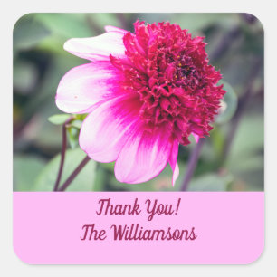 Frilly Pink and Magenta Dahlia Thank You Square Sticker