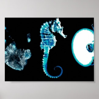 Fringe Glyphs Poster