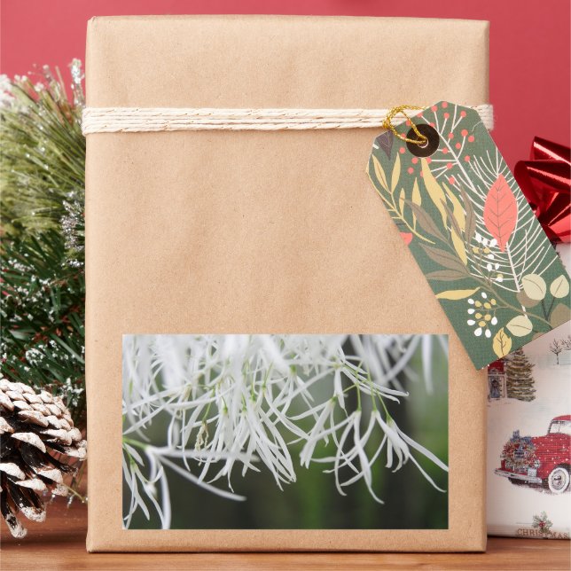 Fringe tree (Chionanthus virginicus) Rectangular Sticker (Holiday)