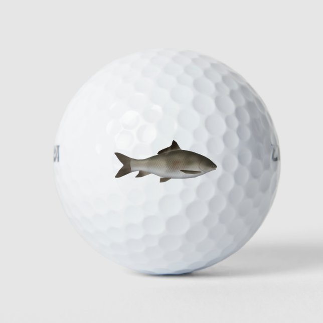 Fringed-lipped Peninsula Carp  Golf Balls (Front)