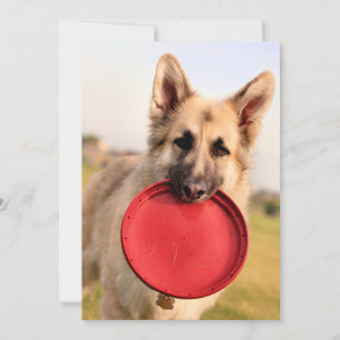 Frisbee Invitation