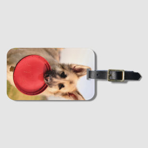 Frisbee Luggage Tag