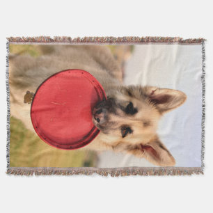 Frisbee throw blanket