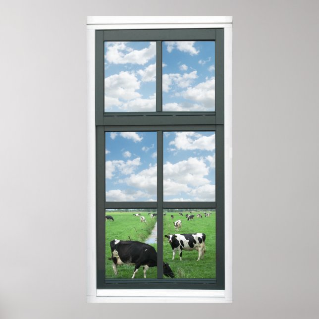 Frisian Holstein Cows Farm Faux Window View Poster (Front)