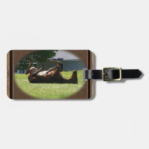Frisky Foal ~ Luggage Tag