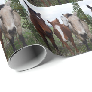 Frisky Hair: Delightful Horse Troubles,  Wrapping Paper