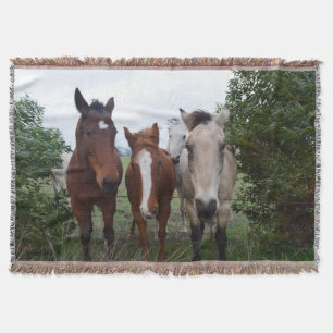 Frisky Hair, Four Horse Pals, Throw Blanket