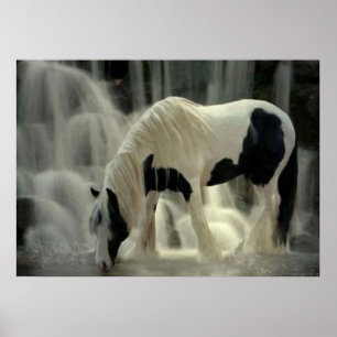 Frison, Papier poster (mat)