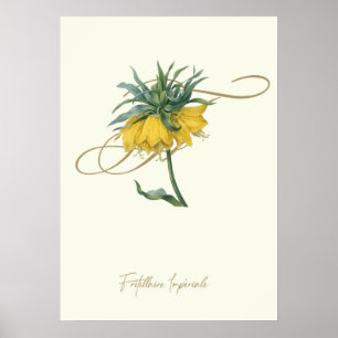 Fritillaire Poster