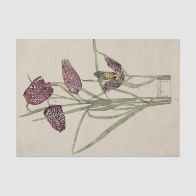 Fritillaria by Charles Mackintosh Tissue Paper (Front)