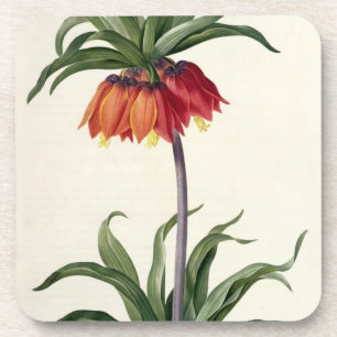 Fritillaria Imperialis from, `Les Lilacees', 1802- Coaster