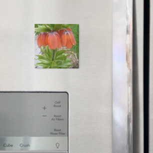 Fritillaria Imperialis Orange Flowers Magnet