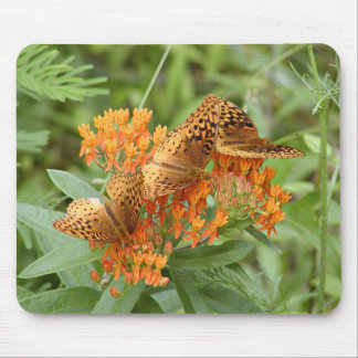 Fritillary butterflies mouse pad