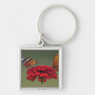 Fritillary Butterfly (Argyreus hyperbius) on 2 Key Ring