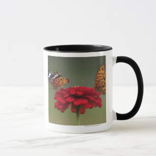 Fritillary Butterfly (Argyreus hyperbius) on 2 Mug