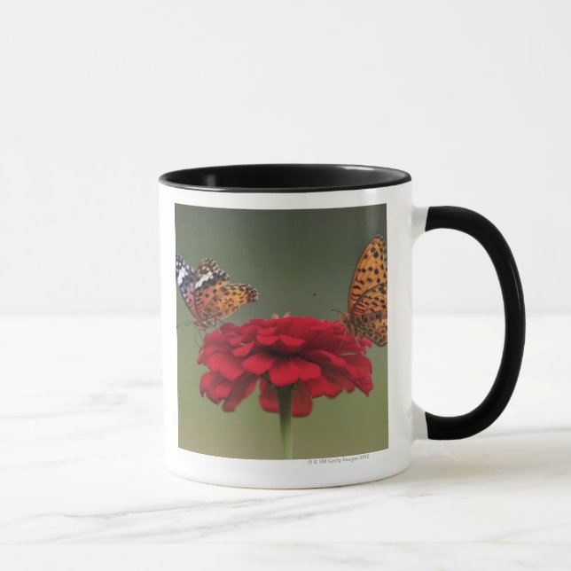 Fritillary Butterfly (Argyreus hyperbius) on 2 Mug (Right)