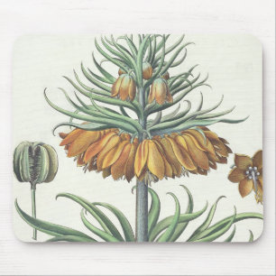 Fritillary: Corona Imperialis florum classe duplic Mouse Pad