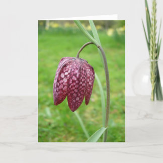 Fritillary Flower Note Card