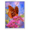 Fritillary on Blue - Bright Butterfly