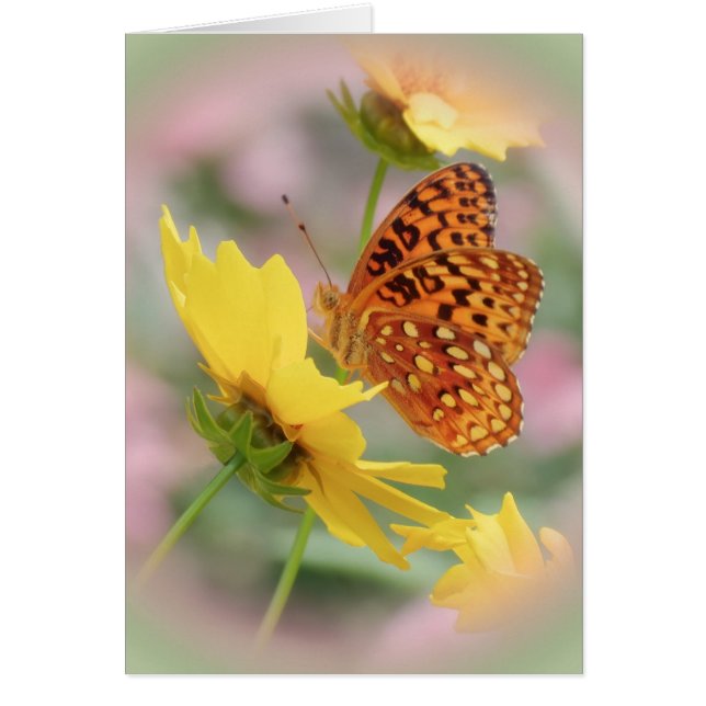 Fritillary World (Front)