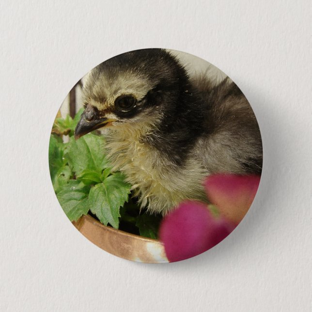 Frizzle Chick in Flowers 6 Cm Round Badge (Front)